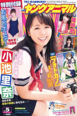 大内密探