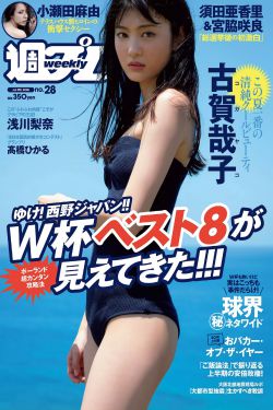 岳婿合体内容介绍